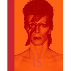 DAVID BOWIE-DAVID BOWIE IS (LIVRO)