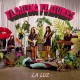 LA LUZ-FLOATING FEATURES (LP)