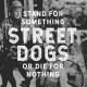 STREET DOGS-STAND FOR SOMETHING OR.. (CD)