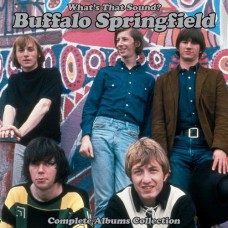 BUFFALO SPRINGFIELD-WHAT'S THAT SOUND?-LTD- (5LP)