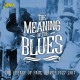V/A-MEANING OF BLUES (CD)