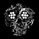 YOUNG WIDOWS-DECAYED: TEN YEARS OF.. (2LP)