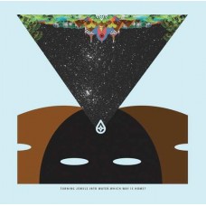 TURNING JEWELS INTO WATER-WHICH WAY IS HOME -EP- (LP)