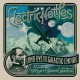 ELECTRIC NETTLES-LONG LIVE THE GALACTIC.. (LP)