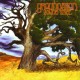 GROUNDATION-YOUNG TREE (2LP)