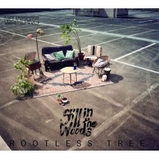 STILL IN THE WOODS-ROOTLESS TREE (CD)