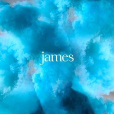 JAMES-BETTER THAN THAT -LTD- (LP)