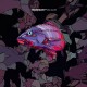 JIMI JULES-WATERGATE 24 (CD)