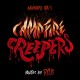 B.S.O. (BANDA SONORA ORIGINAL)-CAMPFIRE CREEPERS (10")