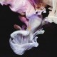 SIMIAN MOBILE DISCO-MURMURATIONS (CD)