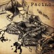 PACINO-FALLEN AMERICA (CD)