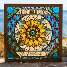THIS WILD LIFE-PETALUMA (CD)