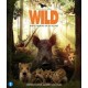 FILME-WILD (DVD)