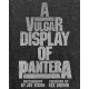 PANTERA-VULGAR DISPLAY OF PANTERA (LIVRO)