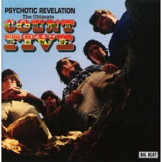 COUNT FIVE-PSYCHOTIC REVELATION (CD)