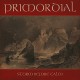 PRIMORDIAL-STORM BEFORE CALM (LP)