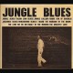C.W. STONEKING-JUNGLE BLUES (LP)