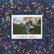 TOMBERLIN-AT WEDDINGS -DOWNLOAD- (LP)