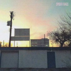 SPIDER BAGS- EVERYTHING WILL BE FINE (LP)