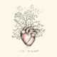 LORI MCKENNA-TREE (LP)