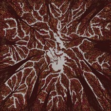 TRASH BOAT-CROWN SHYNESS (LP)