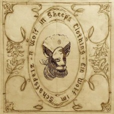 JOSEPHINE FOSTER-A WOLF IN SHEEPS CLOTHING (CD)