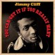 JIMMY CLIFF-YOU CAN GET IT IF YOU.. (2LP)