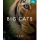 SÉRIES TV/BBC-BIG CATS (BLU-RAY)