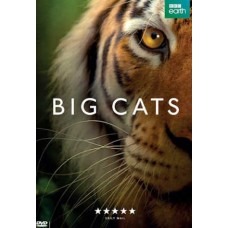 SÉRIES TV/BBC-BIG CATS (DVD)