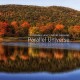 THOMASINA LEVY & DAVID DARLING-PARALLEL UNIVERSE (CD)