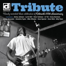 V/A-NEWLY RECORDED.. -LTD- (LP)