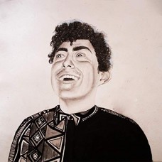 HOBO JOHNSON-THE RISE OF HOBO JOHNSON (CD)