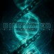 DISTURBED-EVOLUTION (LP)