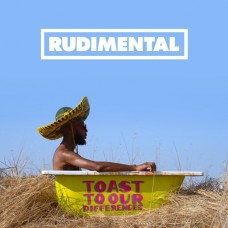 RUDIMENTAL-TOAST OUR DIFFERENCES (LP)