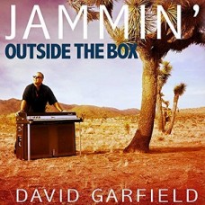 DAVID GARFIELD-JAMMIN` OUTSIDE THE BOX (CD)
