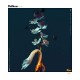 HELLIONS-RUE (LP)