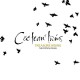 COCTEAU TWINS-TREASURE HIDING: THE FONTANA YEARS (4CD)
