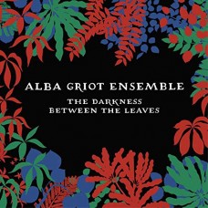 ALBA GRIOT ENSEMBLE-DARKNESS BETWEEN THE.. (CD)