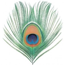 XTC-APPLE STAR VENUS VOL. I (LP)