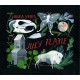 LAURA VEIRS-JULY FLAME (LP)
