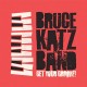 BRUCE KATZ BAND-GET YOUR GROOVE (CD)