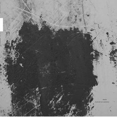 DIASTER-CLUSTERED NON SYMMETRY (LP)