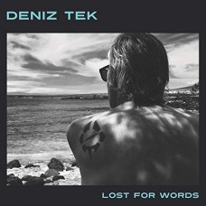 DENIZ TEK-LOST FOR WORDS (LP)