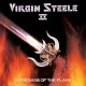 VIRGIN STEELE-GUARDIANS OF THE FLAME (LP)
