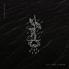 FIT FOR A KING-DARK SKIES (LP)
