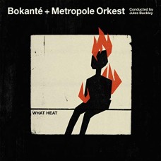 BOKANTE & METROPOLE ORKES-WHAT HEAT (2LP)