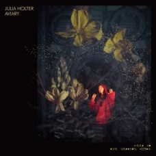 JULIA HOLTER-AVIARY -DOWNLOAD- (2LP)
