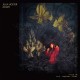 JULIA HOLTER-AVIARY -DOWNLOAD/COLOURED- (2LP)