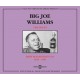 BIG JOE WILLIAMS-BABY PLEASE DON'T GO (2CD)