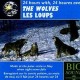 V/A-24 HOURS WITH THE WOLVES (CD)